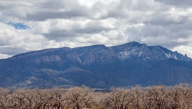 Cottonwood trees that line the Rio Grande with the Sandia Mountains in the background