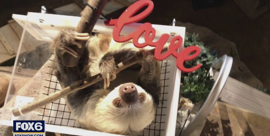 Milwaukee County Zoo virtual Valentines