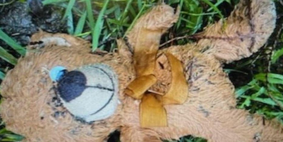 Mequon microchipped teddy bear returned after Oregon car break-in