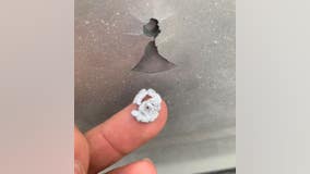 Muskego family shot at while driving