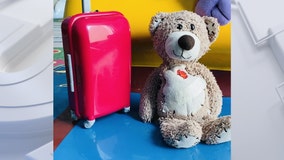 Teddy bear lost at Milwaukee airport reunited with owner