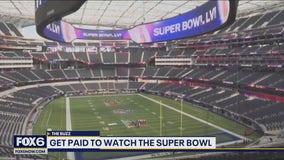 Watch the Super Bowl, get paid