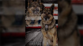 Retired West Allis police dog dies