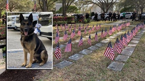 Memorial honors K-9s that made the ultimate sacrifice