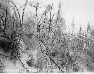 2CD！BROWN SUGAR＆WHITE SNOW/100 YEARS AGO Books - Hardcover Books - Page 3 - Lombard Hobbies