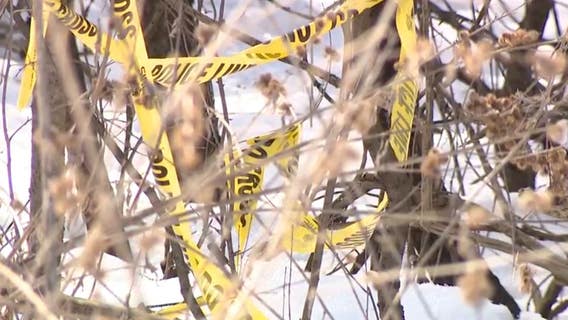 Explosive device detonated in Delafield, man arrested