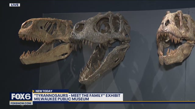 Family of Tyrannosaurs have landed at Milwaukee Public Museum
