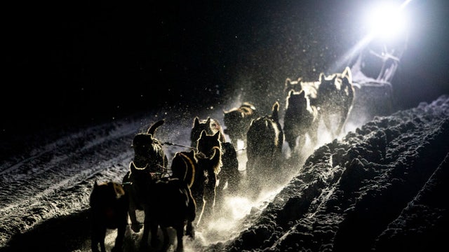 Wisconsin musher wins sled dog marathon in Minnesota