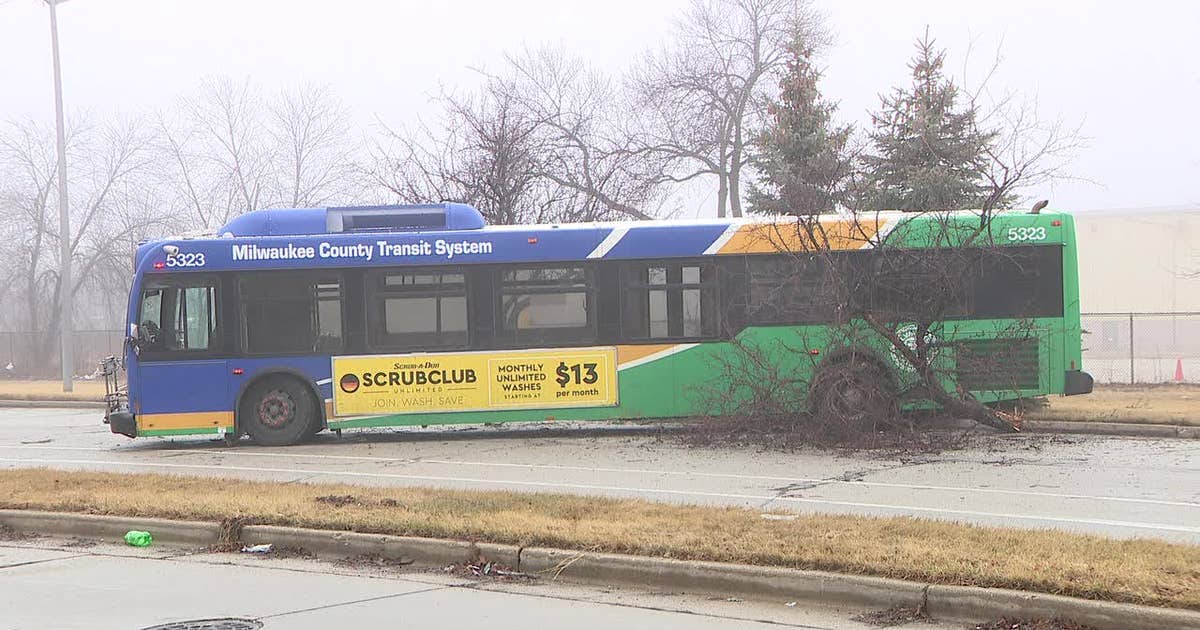 MCTS bus crashes into tree near Good Hope and Teutonia | FOX6 Milwaukee