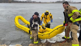 Beaver Dam Lake dog rescue; firefighters utilized ice rescue training