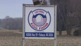 Bird flu at Palmyra egg farm; millions of chickens, eggs to be destroyed