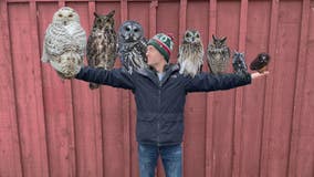 Help save Wisconsin's owls