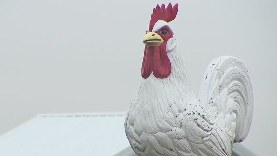 Palmyra bird flu carcass compost plan worries neighbors