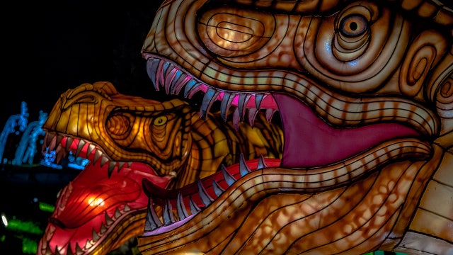 China Lights returns Sept. 15; tickets on sale starting Aug. 8