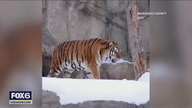 Milwaukee County Zoo hosting 2-day hiring event
