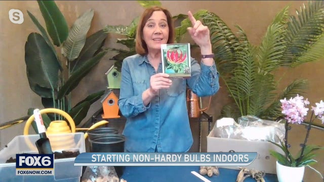 Growing season indoors: Tips to get started