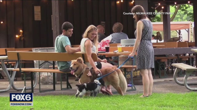 Best dog-friendly spots in town