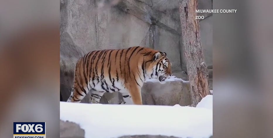 Milwaukee County Zoo hosting 2-day hiring event