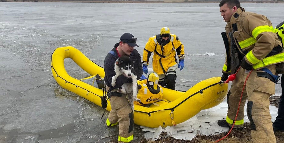Beaver Dam Lake dog rescue; firefighters utilized ice rescue training