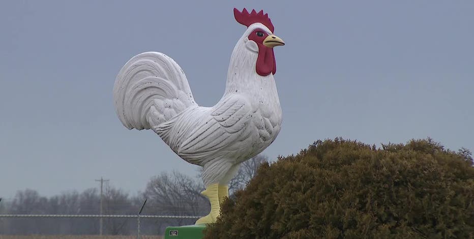 Bird flu-infected chickens disposed of at Cold Spring Egg Farm