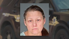 Dodge County stabbing, Ixonia woman charged