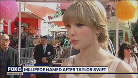 A honor Taylor Swift fans may want to shake off