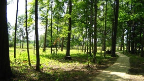 Lizard Mound Park in Washington County, back to state park status