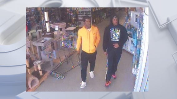 Menomonee Falls Pet World theft; bearded dragon lizard stolen