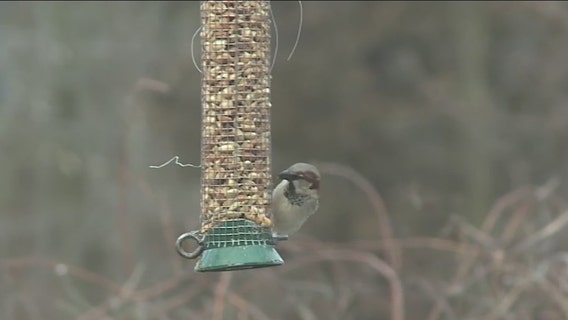 Schlitz Audubon Nature Center offers great programming
