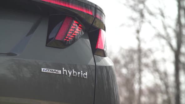 Hybrids more popular than ever