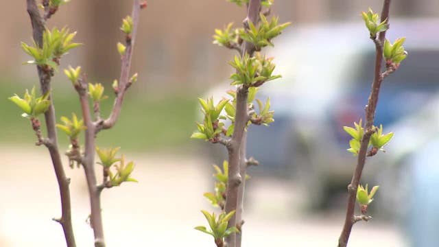 Sherman Park ECO Neighborhood Day; strive for lasting impact