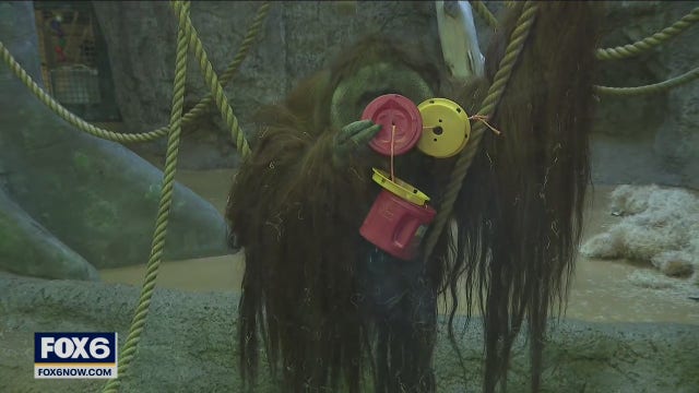 National Zoo Lovers Day at The Racine Zoo