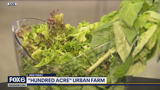 Hundred Acre: Premium greens grown indoors all year long