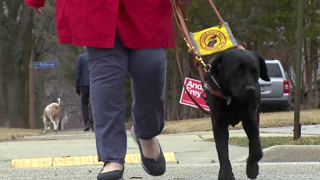 Women denied by Uber, Lyft over service dogs