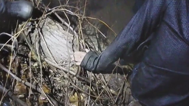 Glendale pursuit ends in Milwaukee River, driver 'on the swim team'