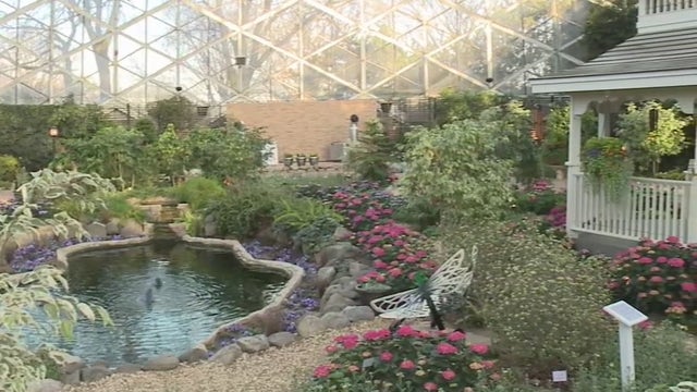 Mitchell Park Domes' Floral Show brings spring inside