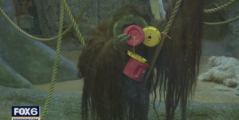 National Zoo Lovers Day at The Racine Zoo