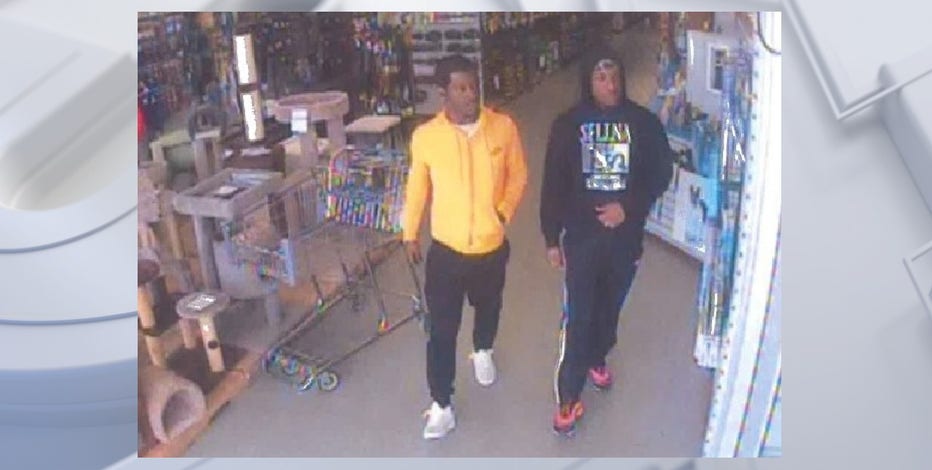 Menomonee Falls Pet World theft; bearded dragon lizard stolen