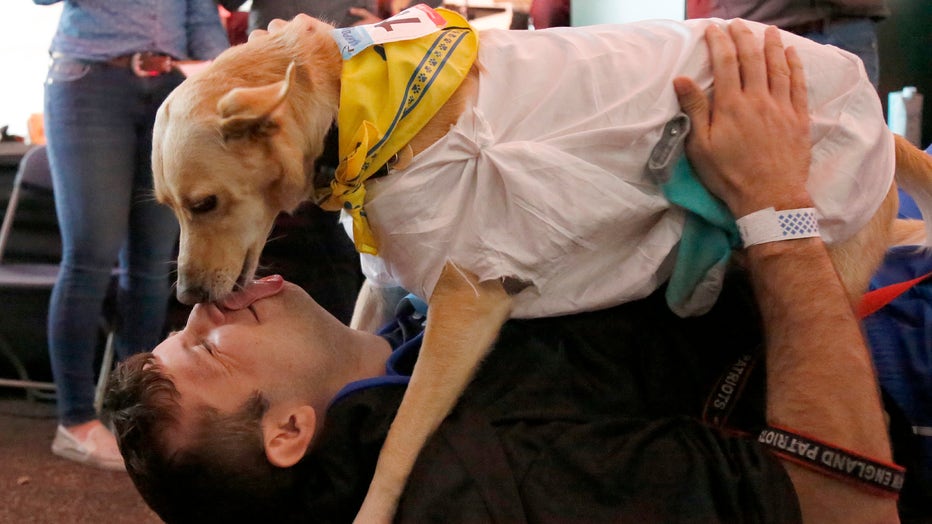 BOSTON, MA. - OCTOBER 6: Colby Dame, of Rockland, gets pinned by his dog Olive on their way to winning the kissing contest at Dogtoberfest at Harpoon on October 6, 2019 in Boston, Massachusetts. (Photo By Mary Schwalm/MediaNews Group/Boston Herald)
