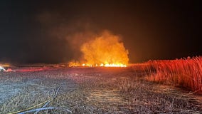 Fond du Lac marsh fire; approximately 20 acres burned