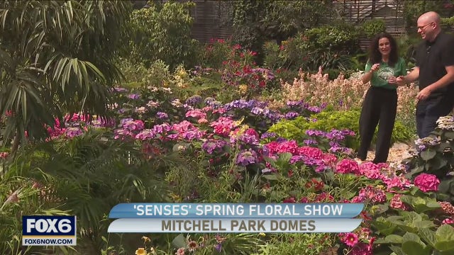 The Spring Sense Show wraps up later this week