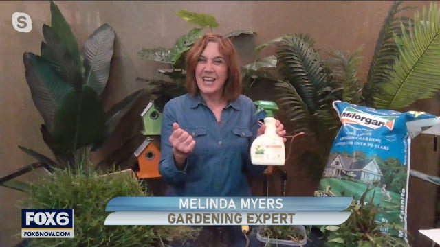 Grow the best lawn on the block