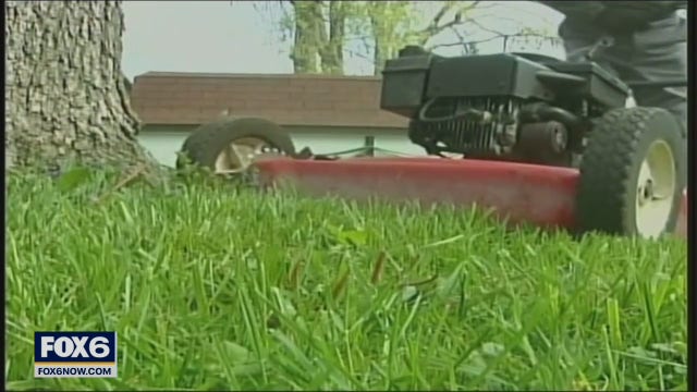 No Mow May: Help protect pollinators