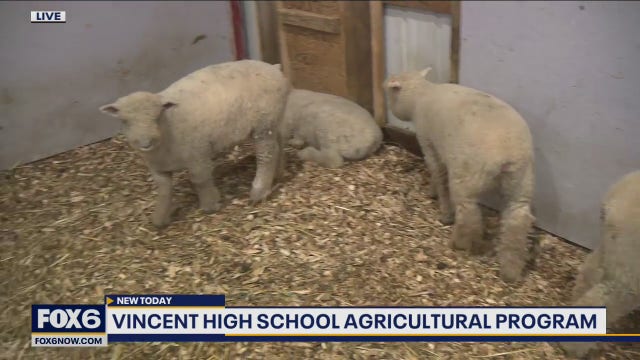 Milwaukee’s Vincent HS offers hands-on agricultural programs