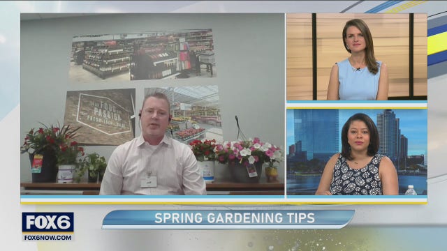 Spring gardening advice