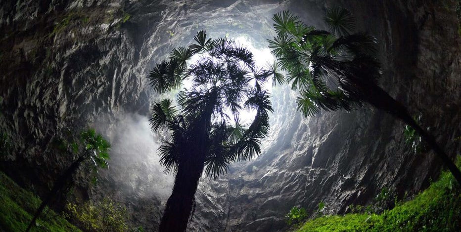 Southern China sinkhole discovered, home to towering ancient trees