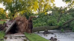 Storm damage in Sheboygan; trees, electrical wires down