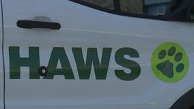 HAWS annual Youth Awards; nominees sought