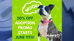 HAWS adoption promotion; long-term shelter pet fees slashed