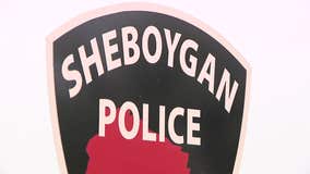 Sheboygan dog dead; suspect arrested, taken to hospital